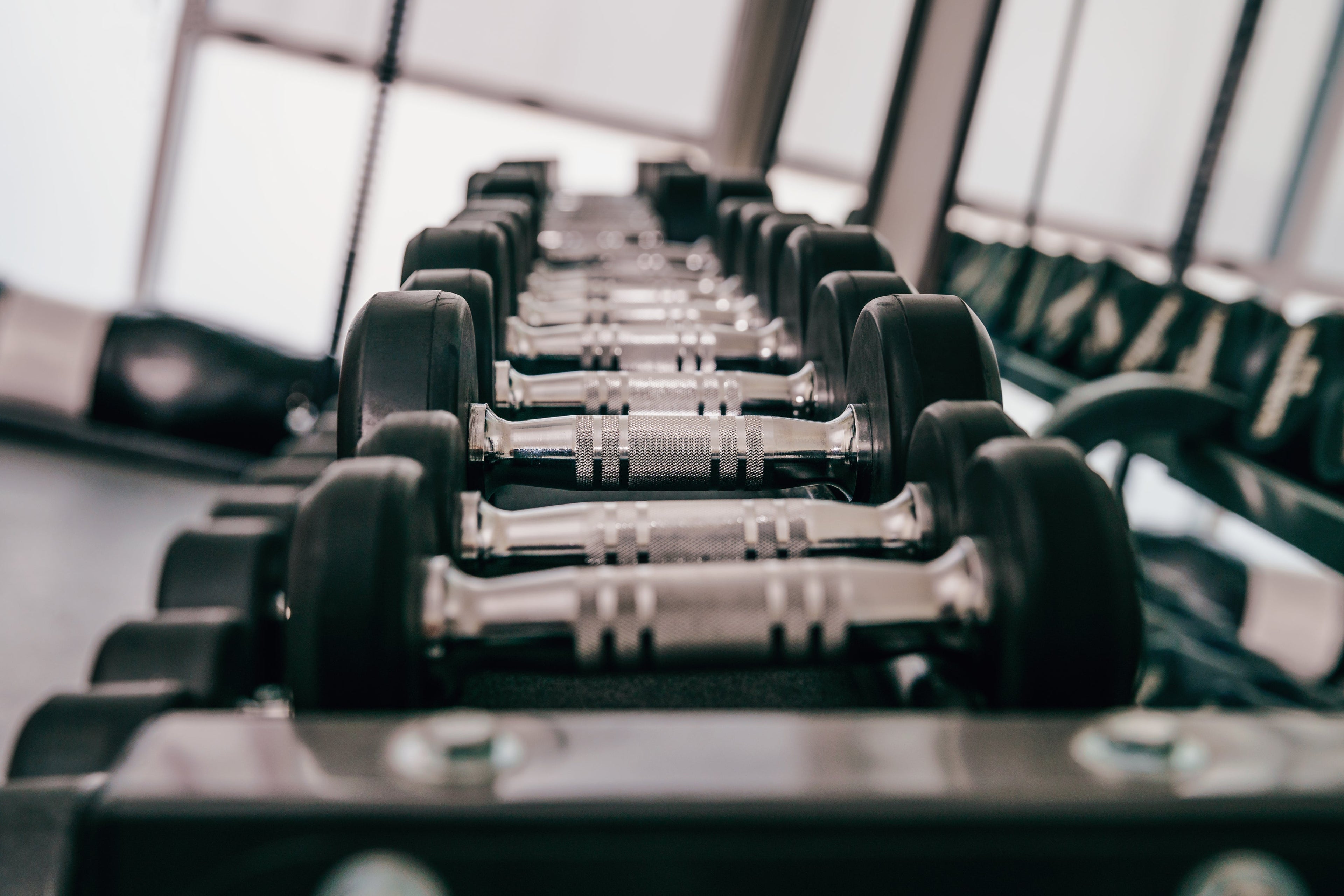 Dumbbells on a gym rack